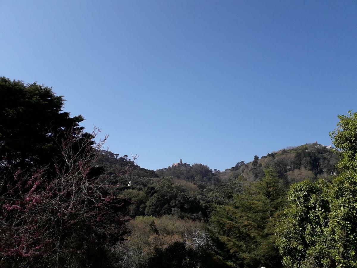 A Casinha Villa Sintra Kültér fotó